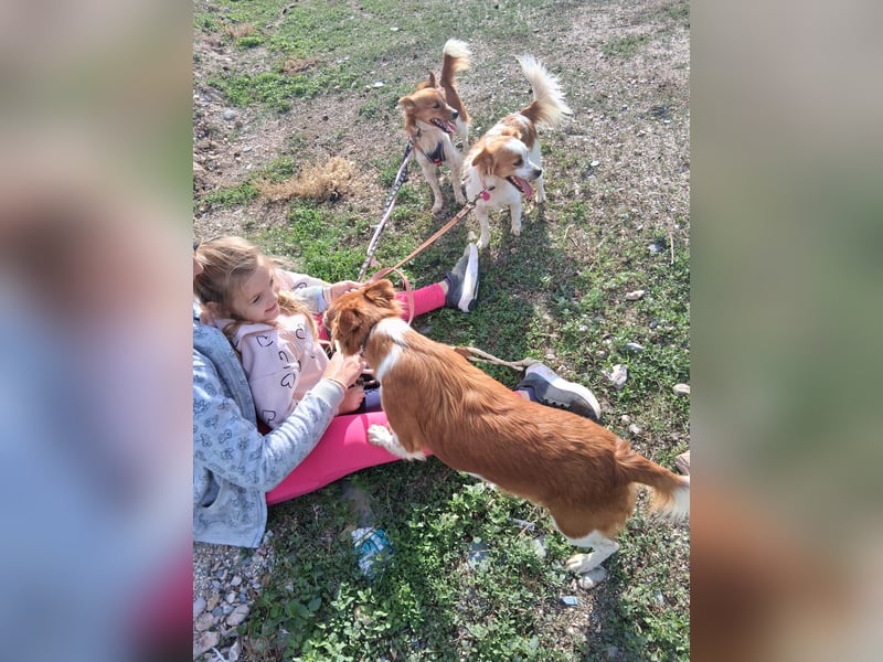Miko sucht eine liebevolle Familie