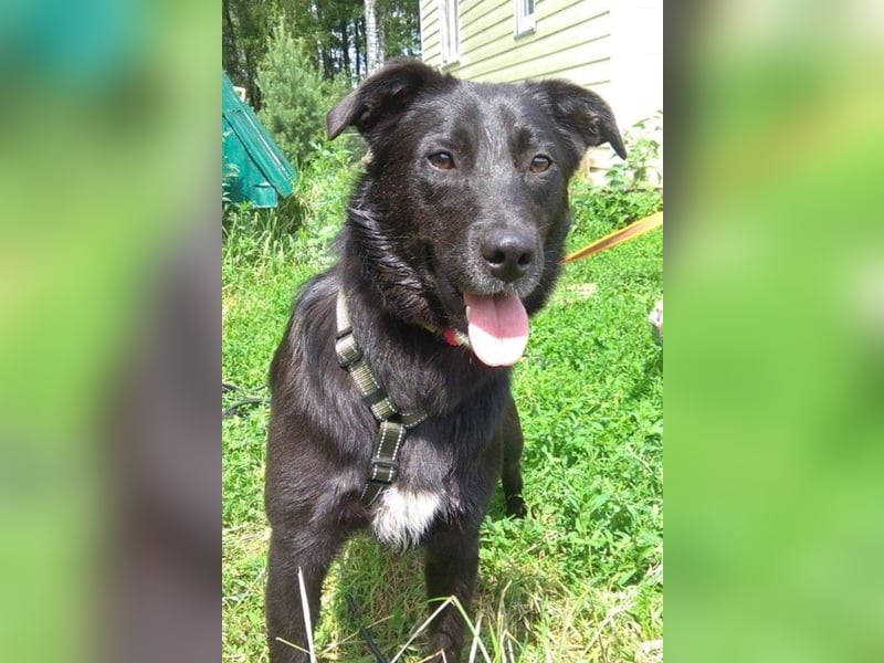 Niedliche MASHA sucht ein liebevolles Zuhause