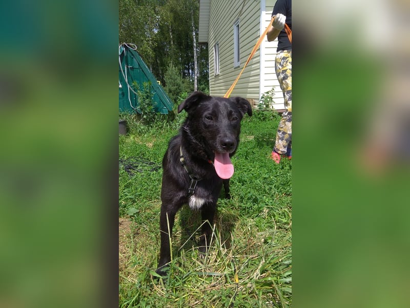 Niedliche MASHA sucht ein liebevolles Zuhause