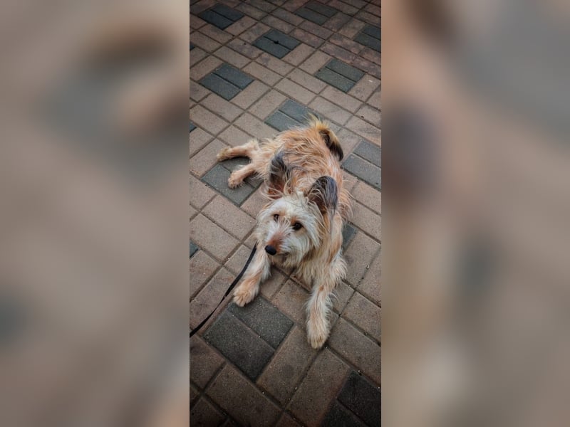 Eshka wartet auf Sie!