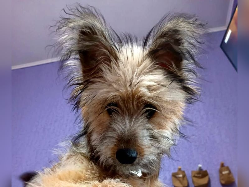 Eshka wartet auf Sie!