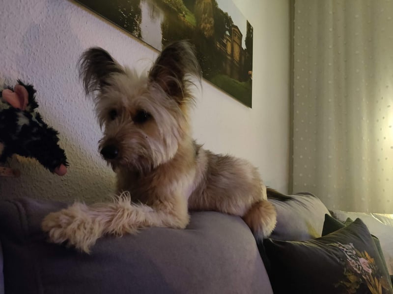 Eshka wartet auf Sie!