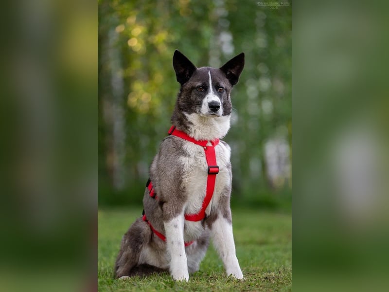 Aufmerksame MAYA sucht treue Menschen
