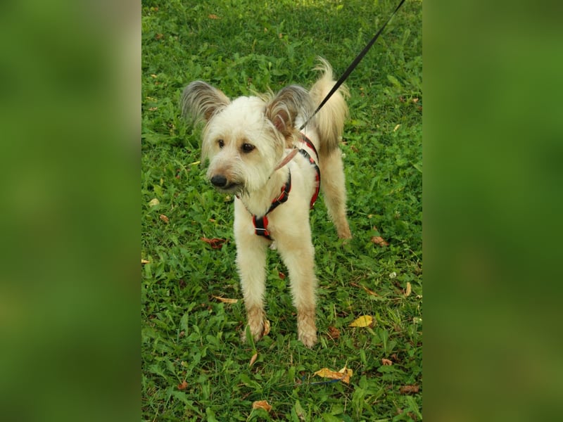 Eshka wartet auf Sie!