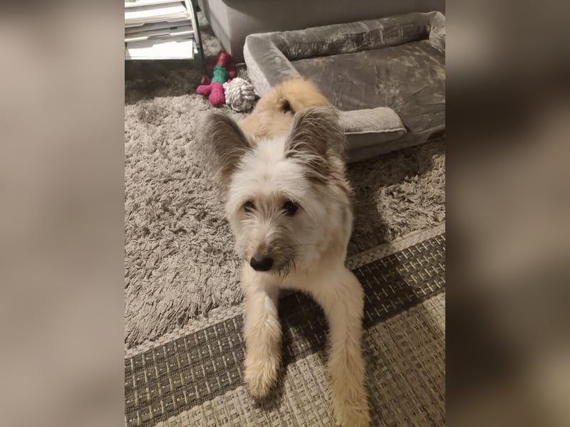 Eshka wartet auf Sie!