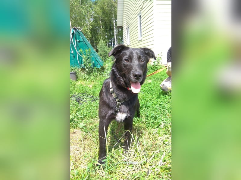 Niedliche MASHA sucht ein liebevolles Zuhause