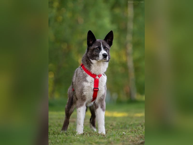 Aufmerksame MAYA sucht treue Menschen