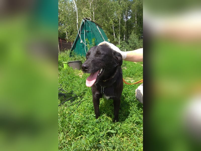 Niedliche MASHA sucht ein liebevolles Zuhause