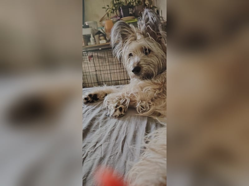 Eshka wartet auf Sie!