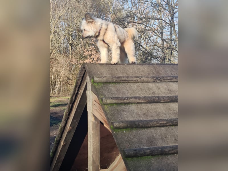 Eshka wartet auf Sie!