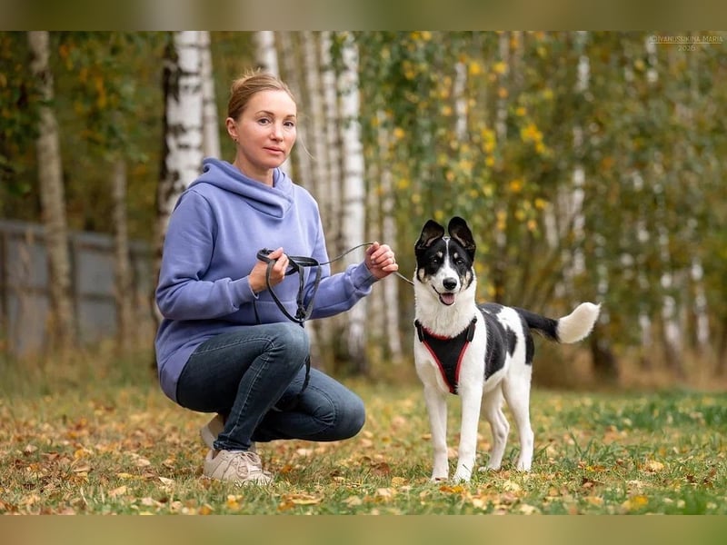 Hübsche KATIE sucht eine aktive Familie