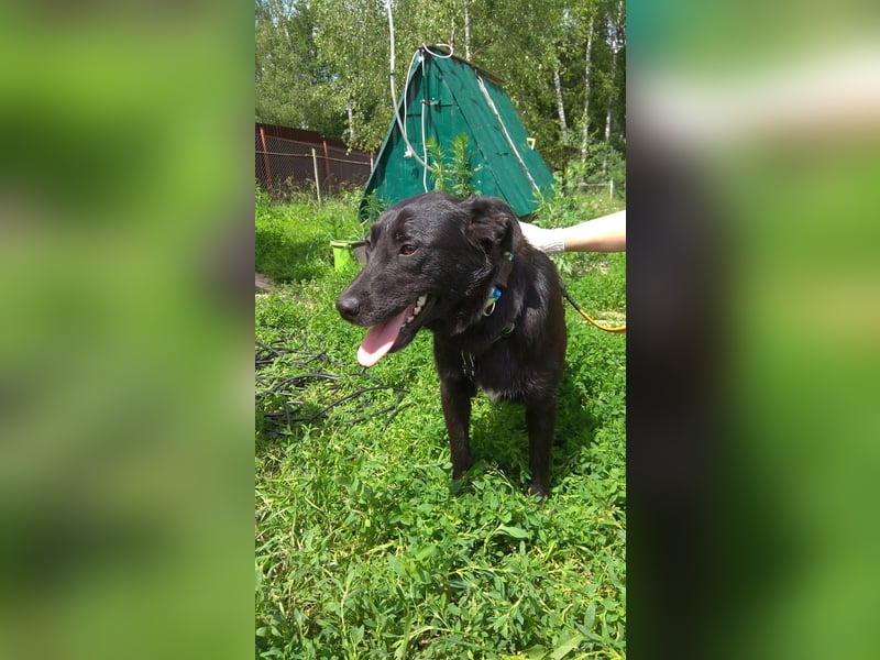 Niedliche MASHA sucht ein liebevolles Zuhause