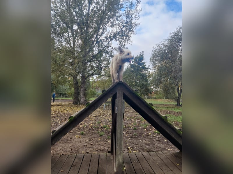 Eshka wartet auf Sie!