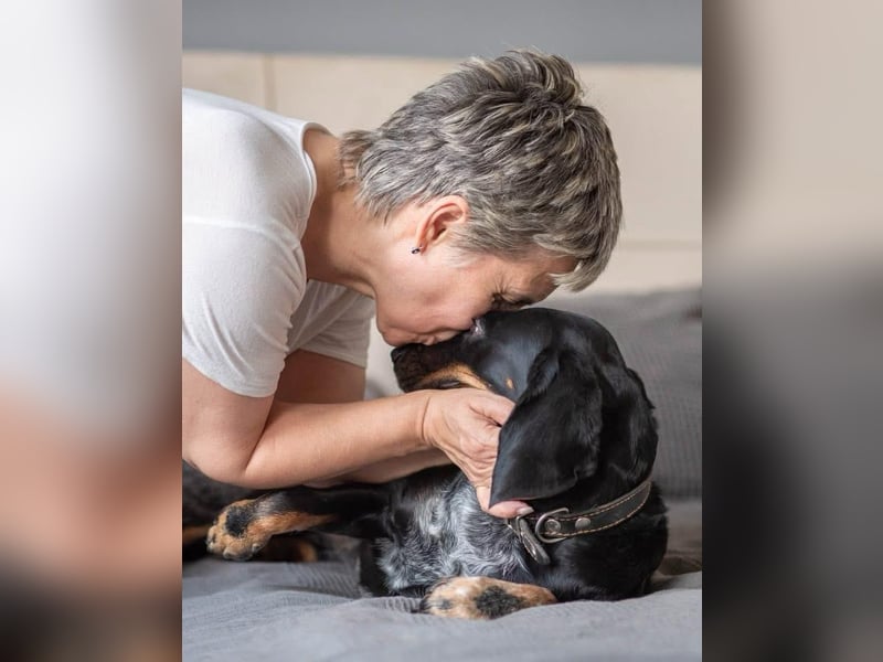 Treue und lustige LORA ist ein perfekter Partnerhund