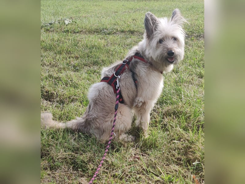 Eshka wartet auf Sie!