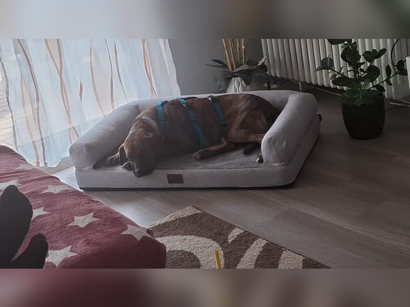 Rita wartet sehnsüchtig auf ihr Happy-Home