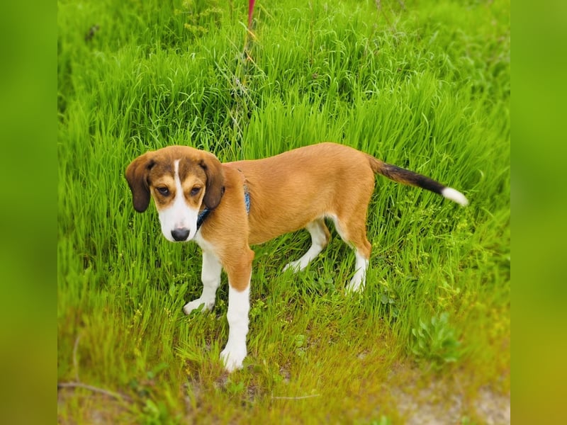 Ellie sehr freundlich und ausgeglichen