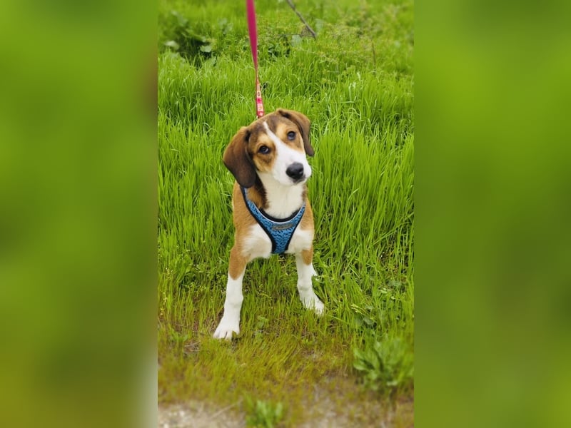 Ellie sehr freundlich und ausgeglichen