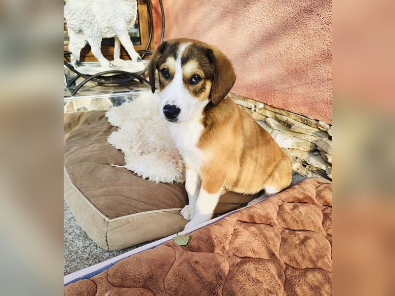 Ellie sehr freundlich und ausgeglichen