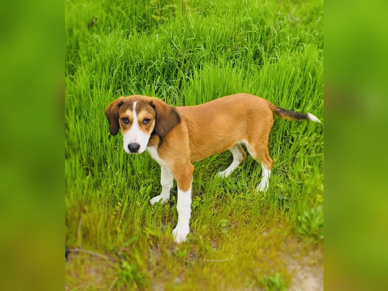 Ellie sehr freundlich und ausgeglichen