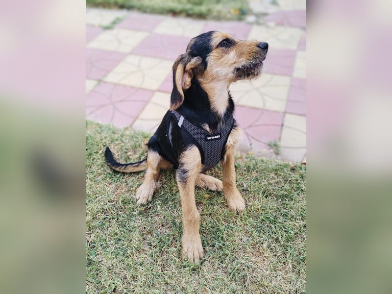 Maya ein tolles Mädchen