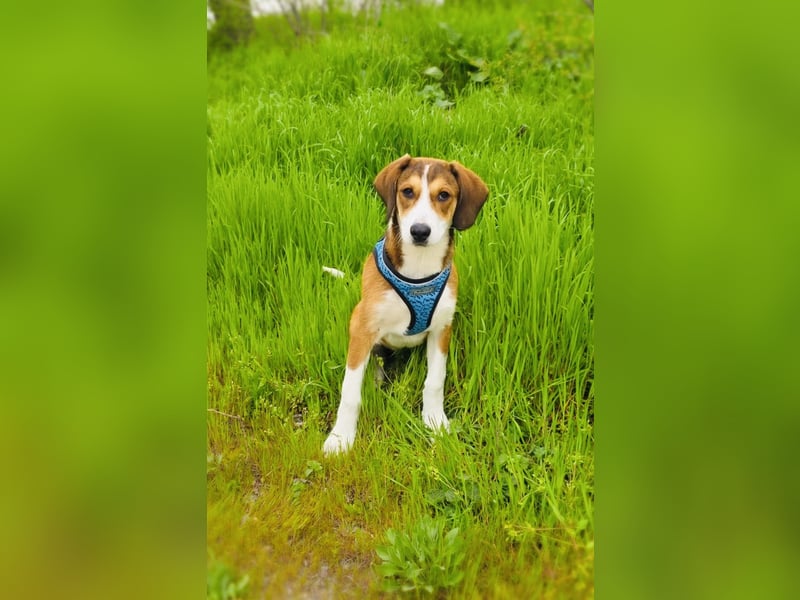 Ellie sehr freundlich und ausgeglichen