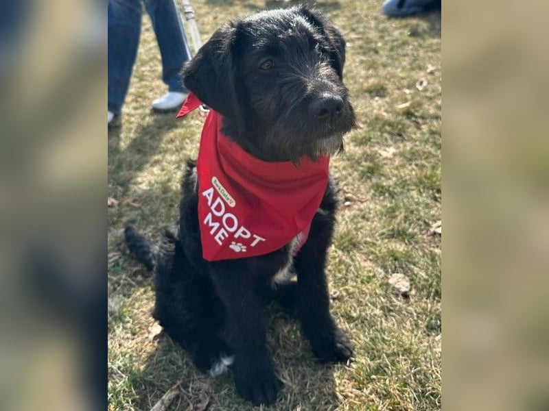 Liebe, zuckersüße Evita sucht ihre Herzensmenschen