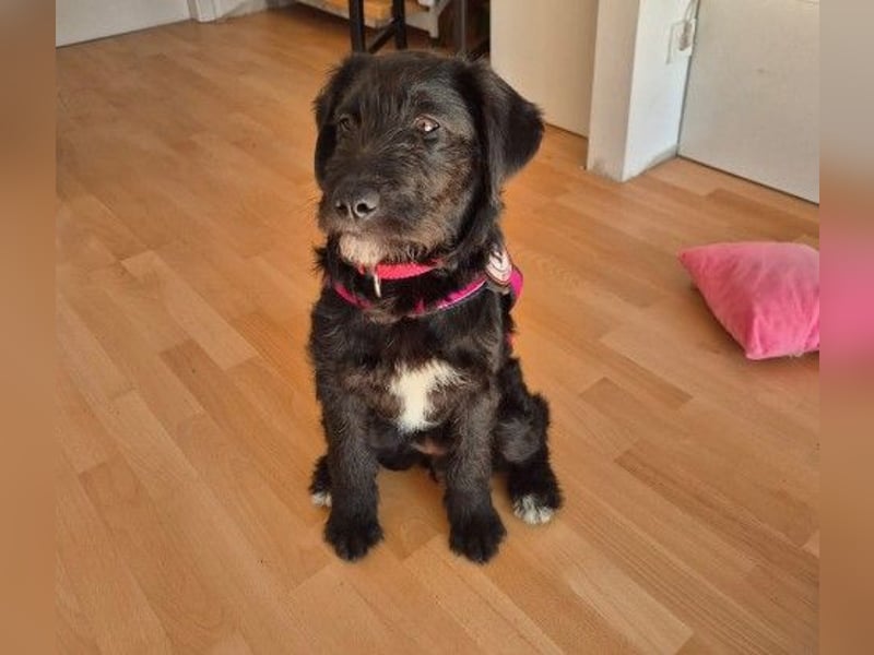 Liebe, zuckersüße Evita sucht ihre Herzensmenschen