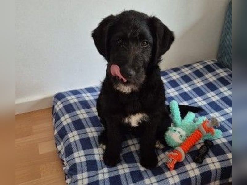 Liebe, zuckersüße Evita sucht ihre Herzensmenschen