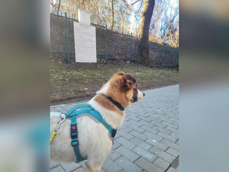 Phoenix, aus der Hölle entkommen, sucht nun seinen Himmel auf Erden