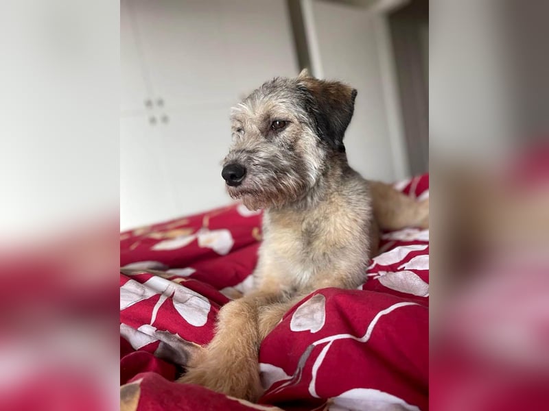 Süße Titza sucht ihr eigenes Körbchen