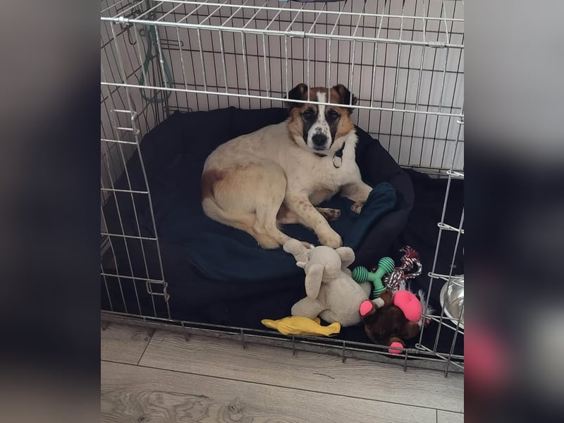 Phoenix, aus der Hölle entkommen, sucht nun seinen Himmel auf Erden