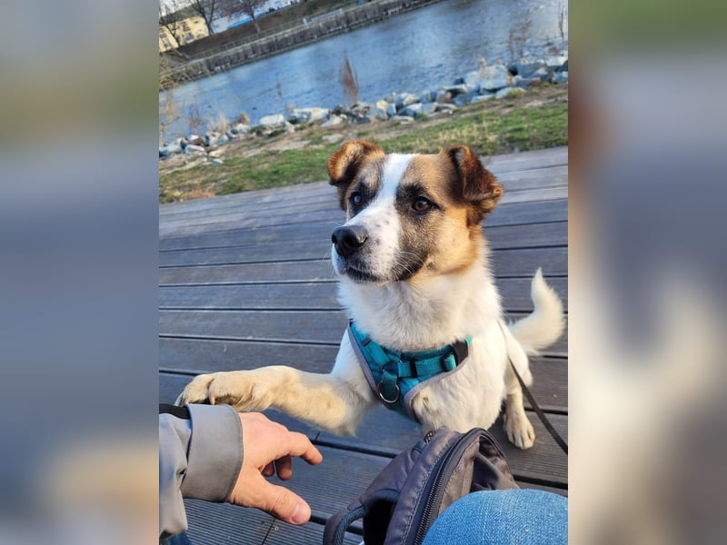 Phoenix, aus der Hölle entkommen, sucht nun seinen Himmel auf Erden