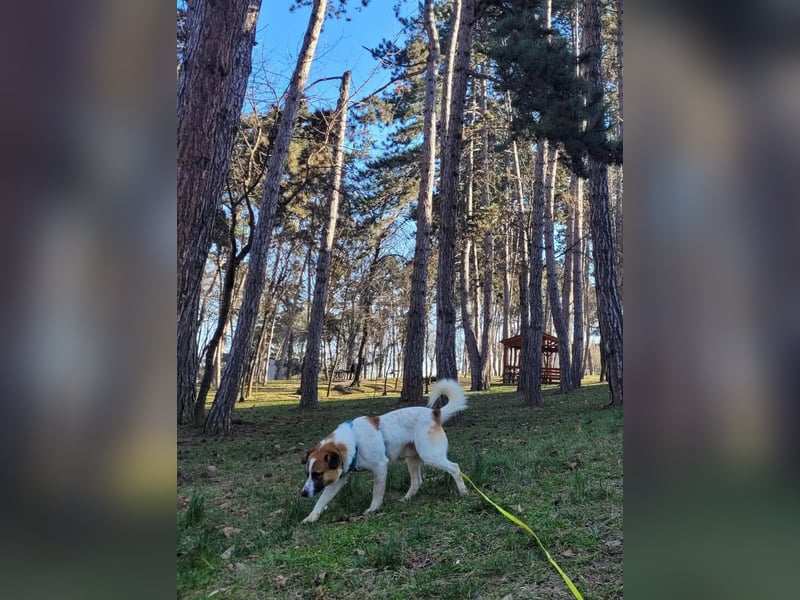 Phoenix, aus der Hölle entkommen, sucht nun seinen Himmel auf Erden
