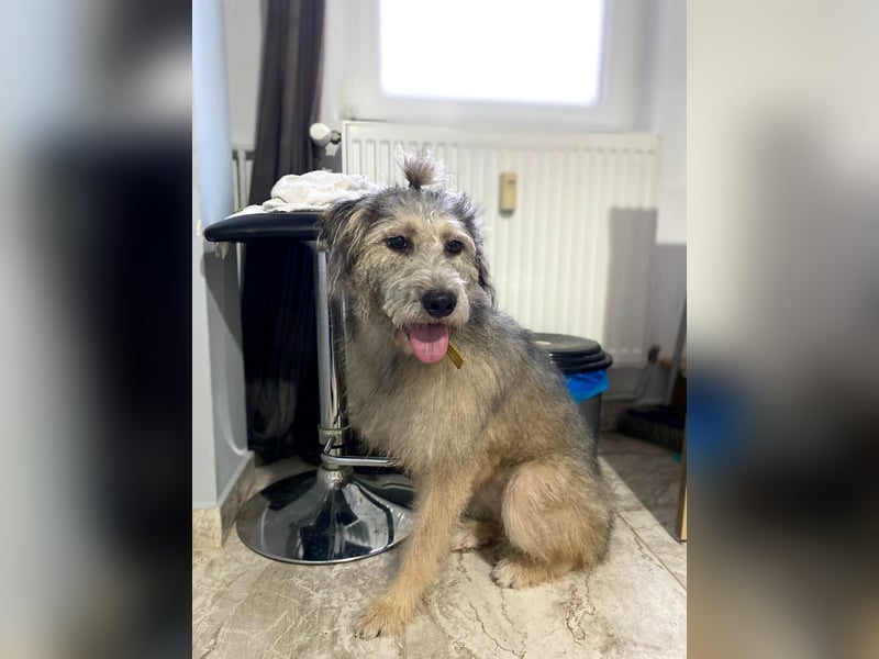 Süße Titza sucht ihr eigenes Körbchen