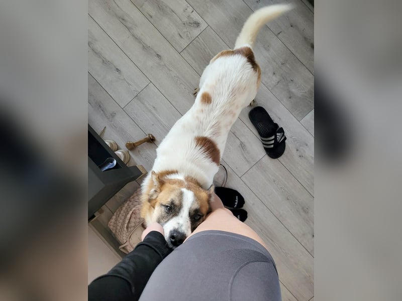 Phoenix, aus der Hölle entkommen, sucht nun seinen Himmel auf Erden