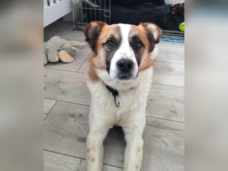 Phoenix, aus der Hölle entkommen, sucht nun seinen Himmel auf Erden