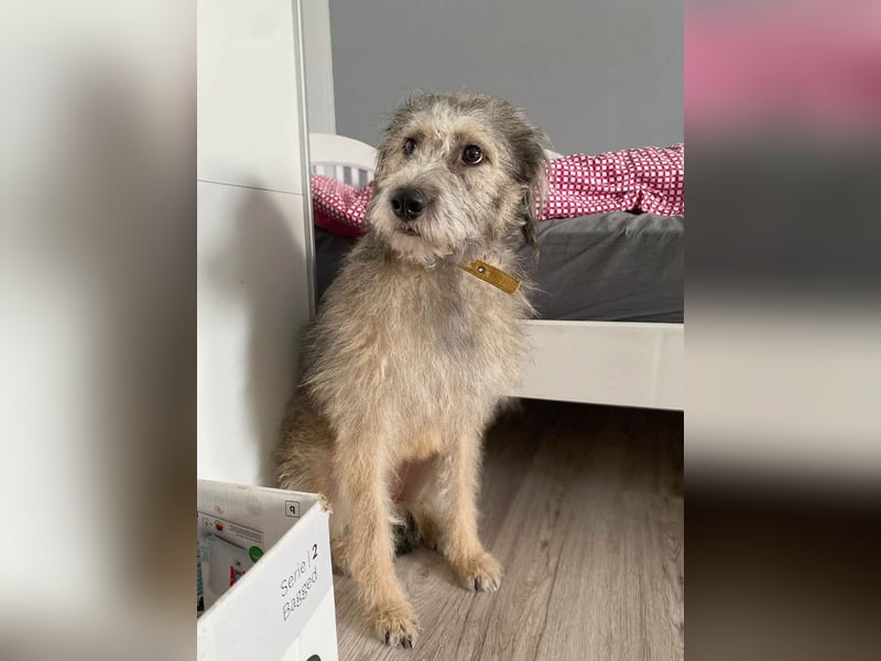 Süße Titza sucht ihr eigenes Körbchen