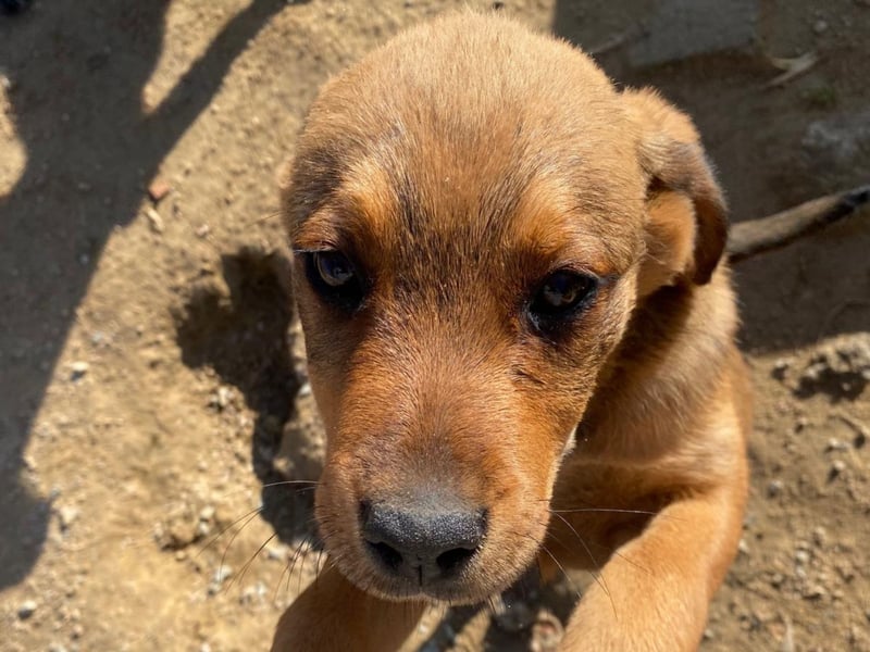 Zuppa – Lebensfroh und verspielt