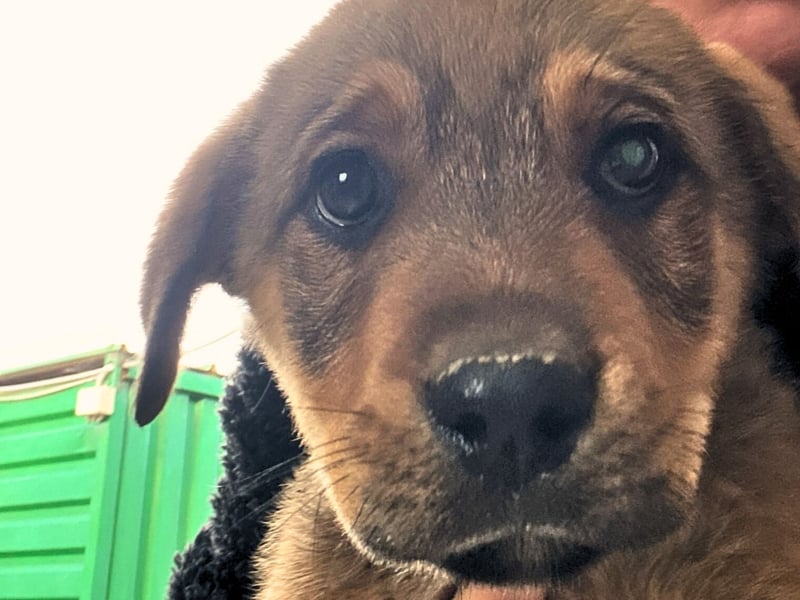 Zuppa – Lebensfroh und verspielt