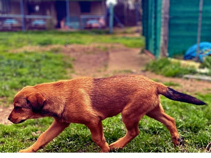 Zuppa – Lebensfroh und verspielt