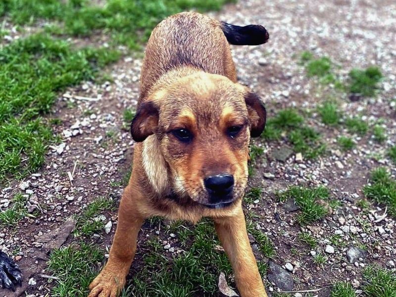 Zuppa – Lebensfroh und verspielt