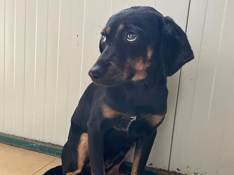 Utopia - mit nur einem Auge unterwegs in eine bessere Zukunft