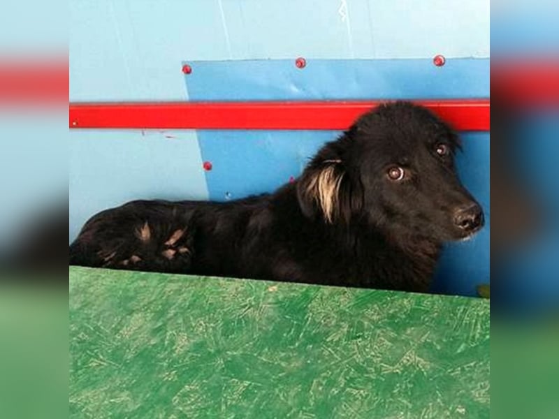 Gina sucht ihre Familie Gina sucht ihre Familie