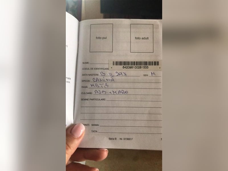 Dachos – auf der Suche nach besonderen Menschen