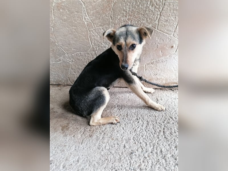 Lotta – schüchtern und zauberhaft, 1,5 Jahre alt