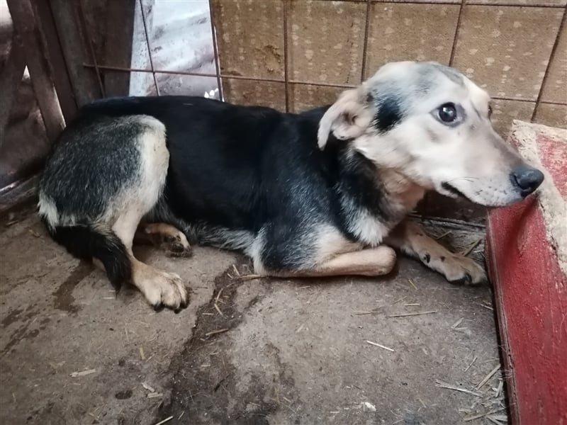 Lotta – schüchtern und zauberhaft, 1,5 Jahre alt