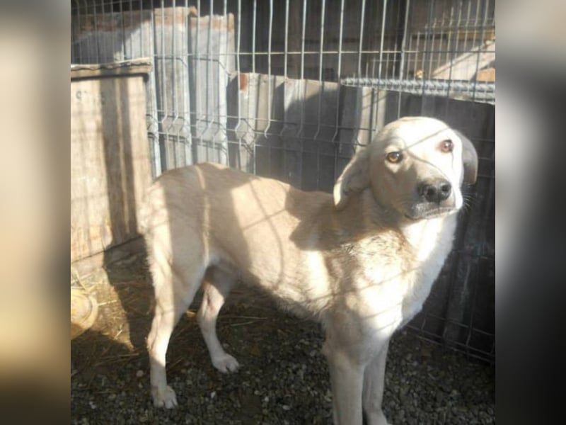 Sammy sucht seine Familie