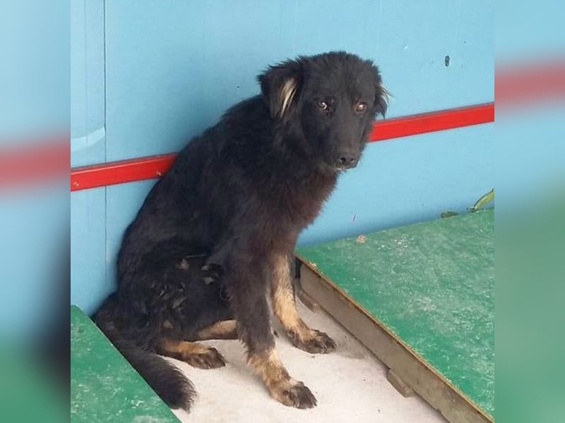 Gina sucht ihre Familie Gina sucht ihre Familie