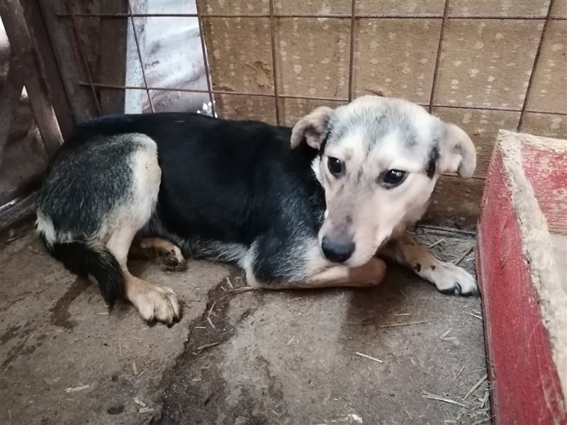 Lotta – schüchtern und zauberhaft, 1,5 Jahre alt